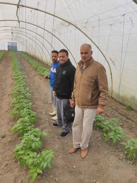 زراعة الإسكندرية تصدر تعليمات صارمة لمزارعي الصوب الزراعية