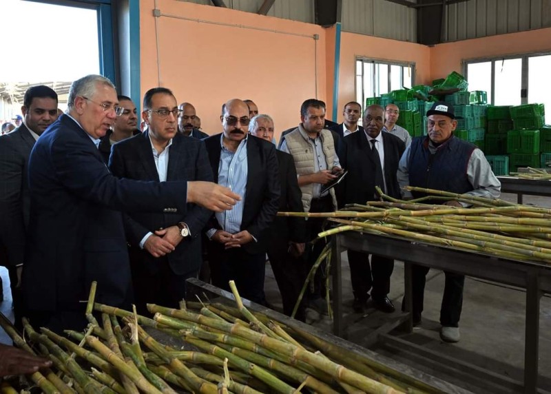 رئيس الوزراء يتفقد محطة شتلات قصب السكر بكوم امبو في أسوان