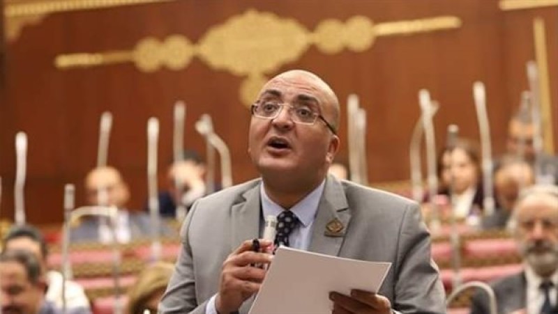 برلماني يطلب استيضاح خطة الحكومة لمضاعفة عائدات مصر من التصدير الرقمي