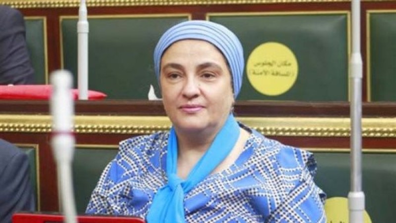 النائبة سميرة الجزار، عضو لجنة الخطة والموازنة بمجلس النواب