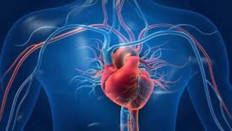 أعراض أمراض القلب.. 3 طرق للوقاية والمحافظة على الصحة