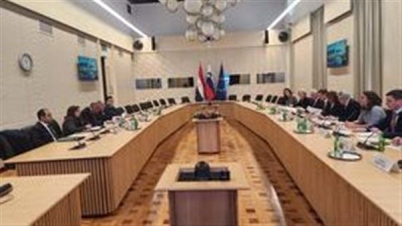 وزير الخارجية يعقد مباحثات مع نظيرته السلوفينية