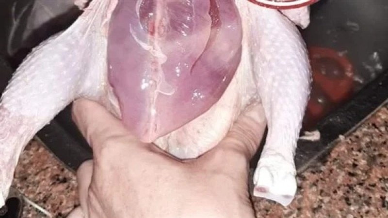 طبيبة تفجر مفاجأة عن الدجاج غير الصالح للاستخدام