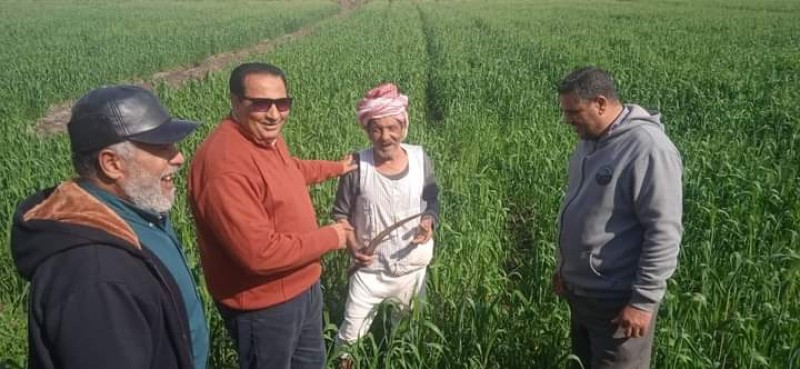 المهندس سميح عبد السميع وكيل وزارة الزراعة بدمياط 