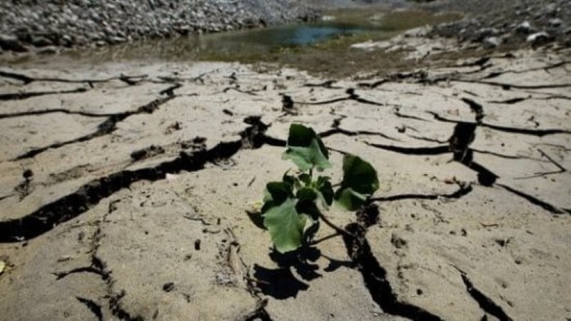 الجفاف يضرب أشهر مدن العالم.. أسابيع تفصلها عن عدم وجود نقطة مياه واحدة