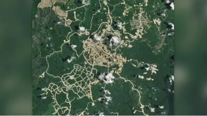 الأقمار الصناعية تكشف عن بناء مدينة خفية في الغابة بإندونيسيا.. ما القصة؟