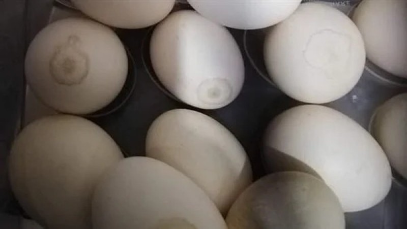 علامة بقشرة البيض تشير لاحتمالية إصابتك بالتسمم الغذائي