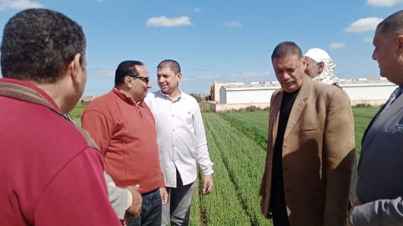 سميح عبد السميع وكيل وزارة الزراعة بدمياط 