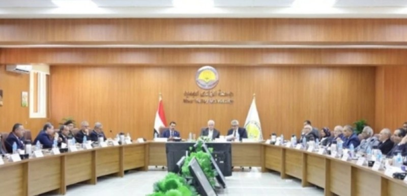 المجلس الأعلى للجامعات المصرية