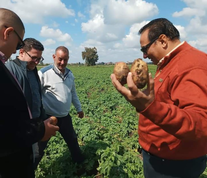 وكيل وزارة الزراعة بدمياط يتفقد زراعات محصول البطاطس لمتابعتها والاطمئنان عليها