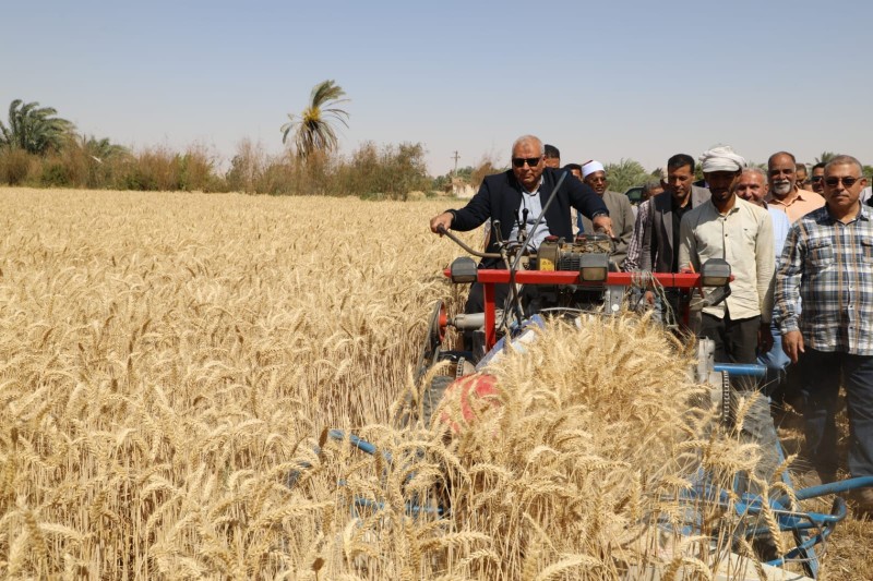محافظ الوادي الجديد يركب حصادة القمح