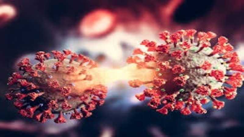 فيروسات صامتة.. تحذير طبي من انتشار العدوى داخل المنازل في الشتاء