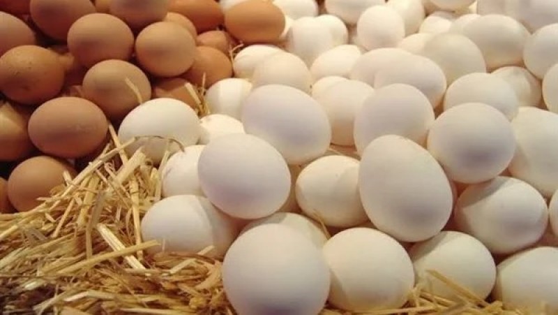 طبيبة تفجر مفاجأة عن البيض الفاسد بالأسواق