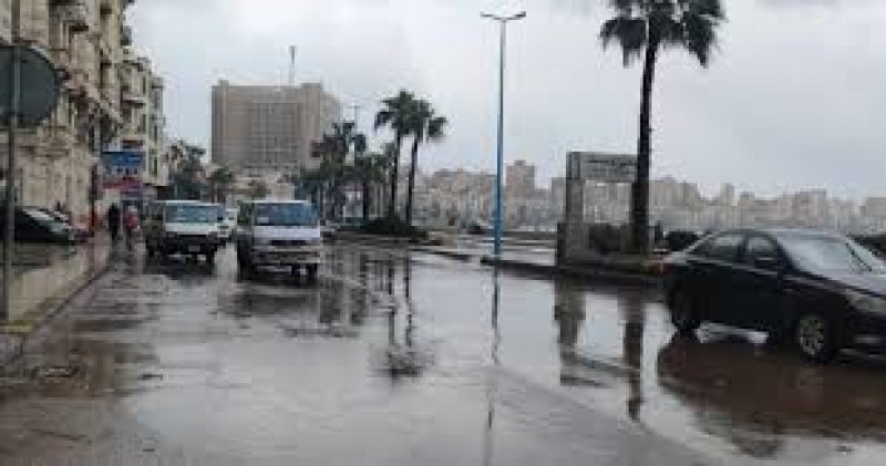 تساقط الأمطار... والإسكندرية تحتفل بأعياد شم النسيم