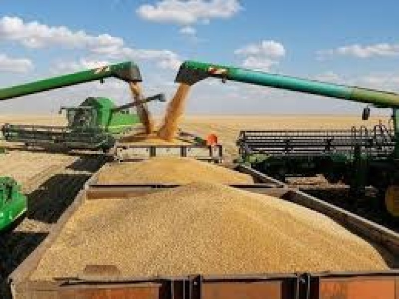 مصر تشتري 420 ألف طن من القمح الروسي والروماني