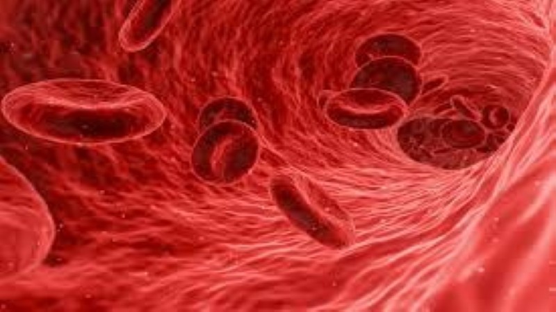 فقر الدم.. أعراض وأسباب الأنيميا وطرق الوقاية