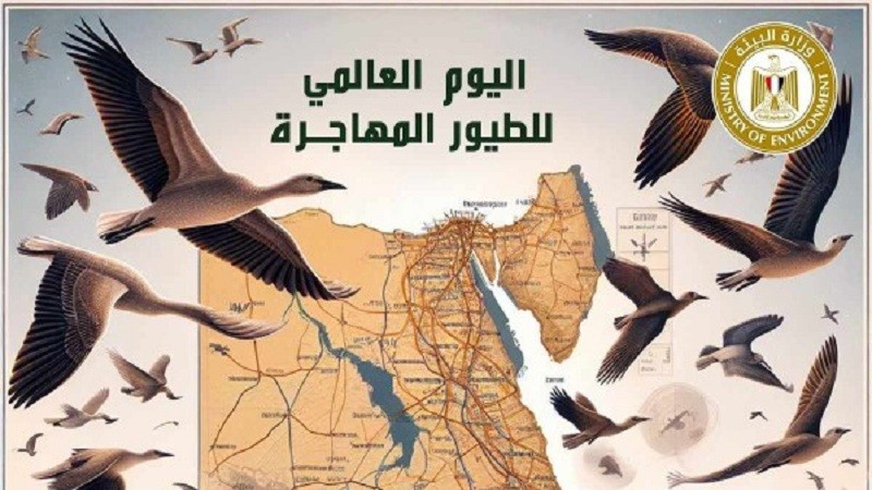 مصر تشارك في الاحتفال باليوم العالمي للطيور المهاجرة ٢٠٢٤