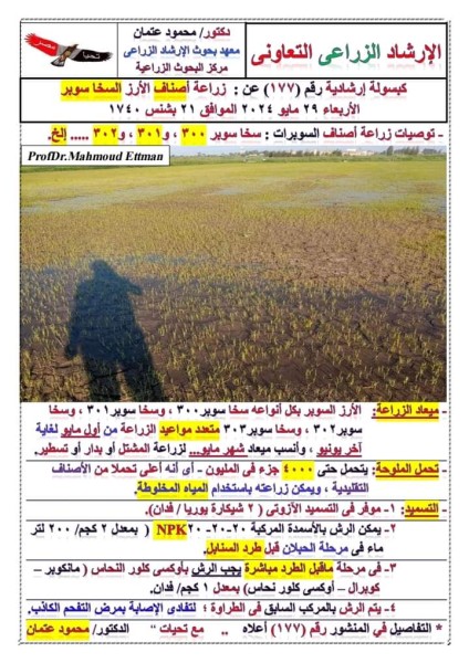 معلومات نشرها رئيس بحوث متفرغ  على صفحة الإرشاد الزراعى التعاونى حول زراعة الأرز