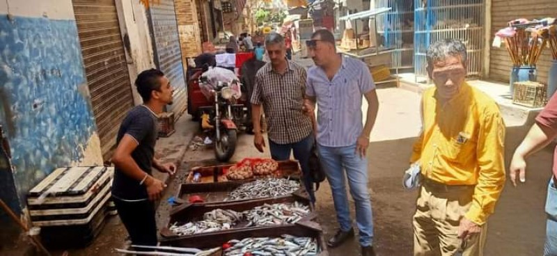 صحة الإسكندرية تنظم حملات تفتيشية على محلات الأسماك