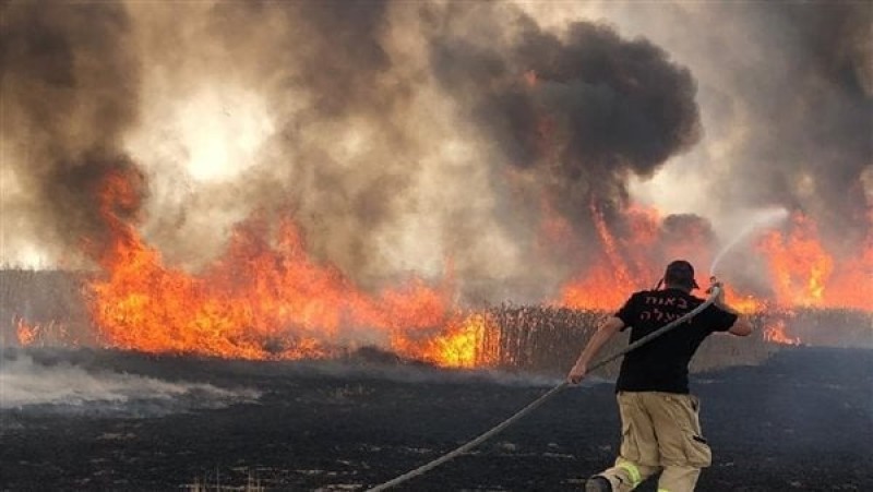 إسرائيل تحترق.. النيران تلتهم 11 ألف فدان من الأراضي خلال أسبوعين