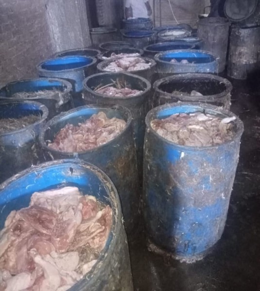 صحة الشرقية:إعدام 17 طن لحوم ودجاج مجمد في حملة على المنشآت الغذائية ببلبيس