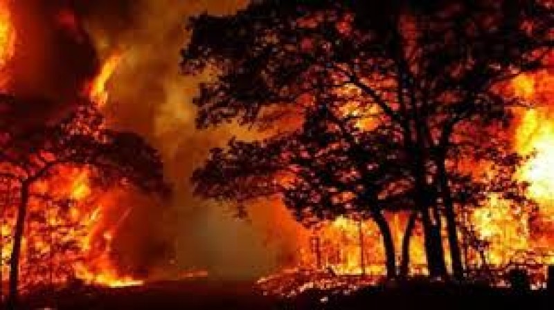 حرائق الغابات المستعرة  في شمال كاليفورنيا