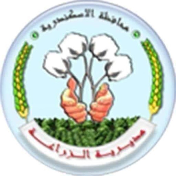 زراعة الإسكندرية 