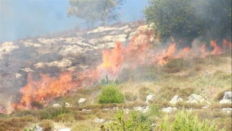 مستوطنون يحرقون مساحات واسعة من الأراضي الزراعية بقرية ”المغير” شمال رام الله