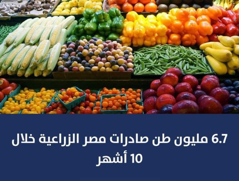 وزير الزراعة يعلن صادرات مصر خلال 10شهور 