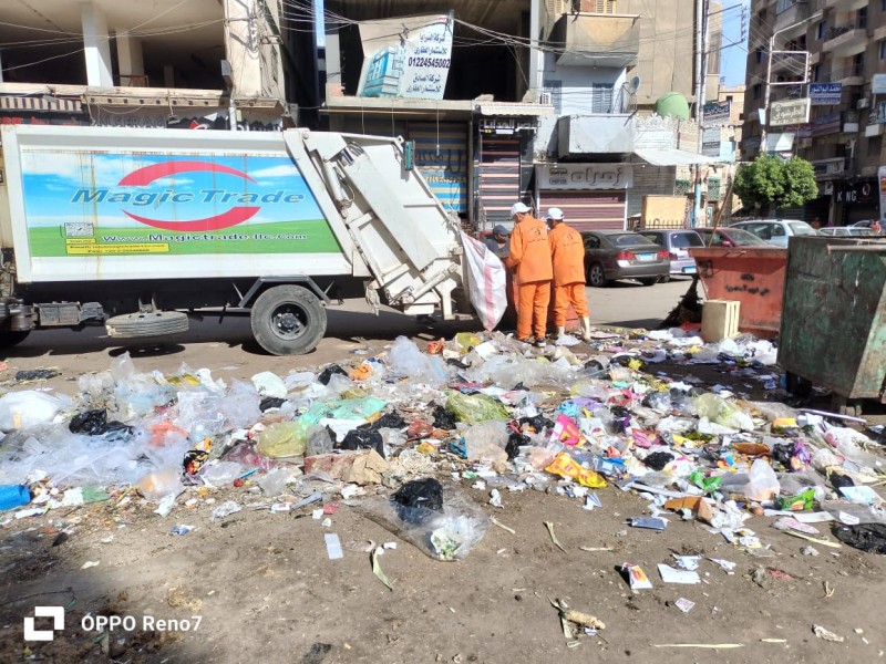 الدقهلية:رفع 680 طن مخلفات بلدية وأتربة وناتج تقليم أشجار بالمنطقة المركزية