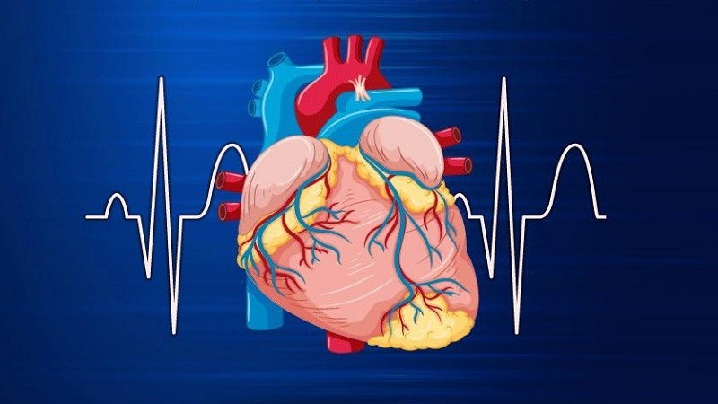 بسببه يتوفى 17 مليون حالة سنويًا في العالم.. تحذير عاجل من الصحة