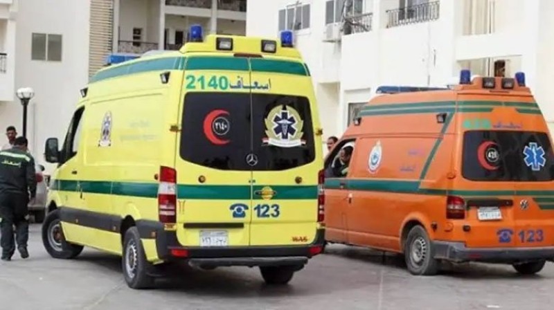 إصابة طفلين بلدغات عقارب في الوادي الجديد