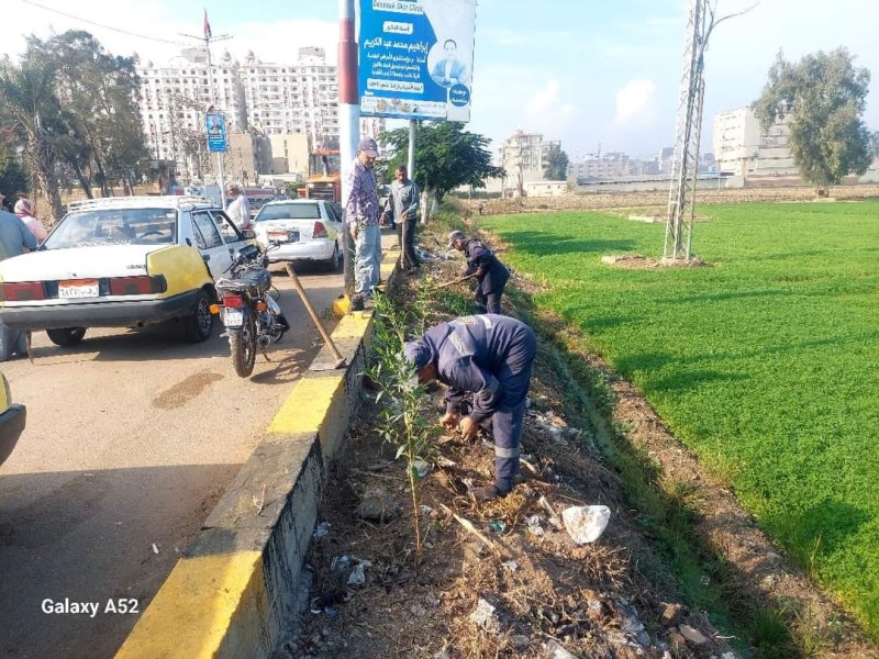 محافظ كفر الشيخ: استمرار زراعة الأشجار بدسوق