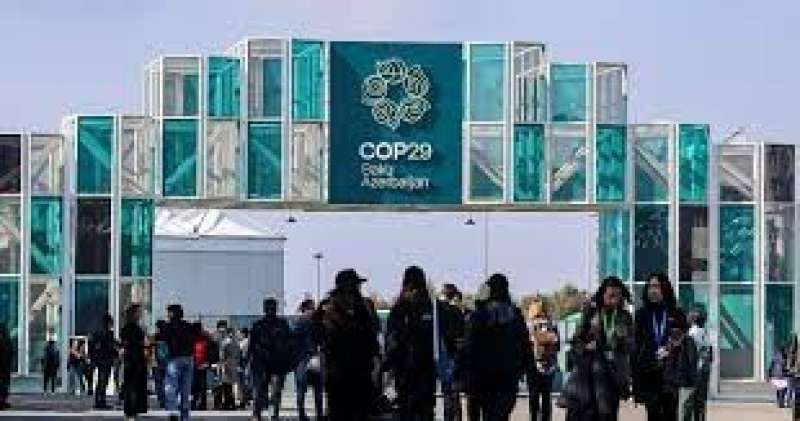 غرينبيس: مؤتمر المناخ COP29 يتجاهل أزمة المناخ في الشرق الأوسط وشمال إفريقيا