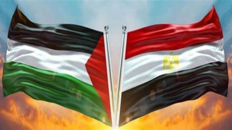 مصر تحيي اليوم الدولي للتضامن مع الشعب الفلسطيني