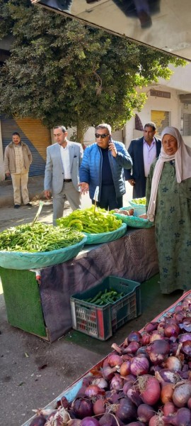 اهم ما كان بجولة المحافظ التفقدية في شوارع المنصورة ودكرنس