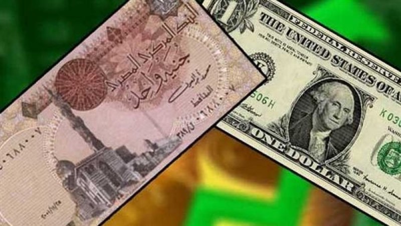 سعر الدولار مقابل الجنيه اليوم الإثنين 30 ديسمبر 2024