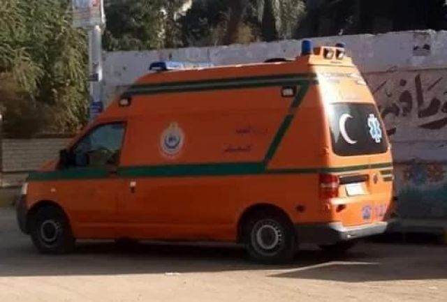 عمرو الجنايني