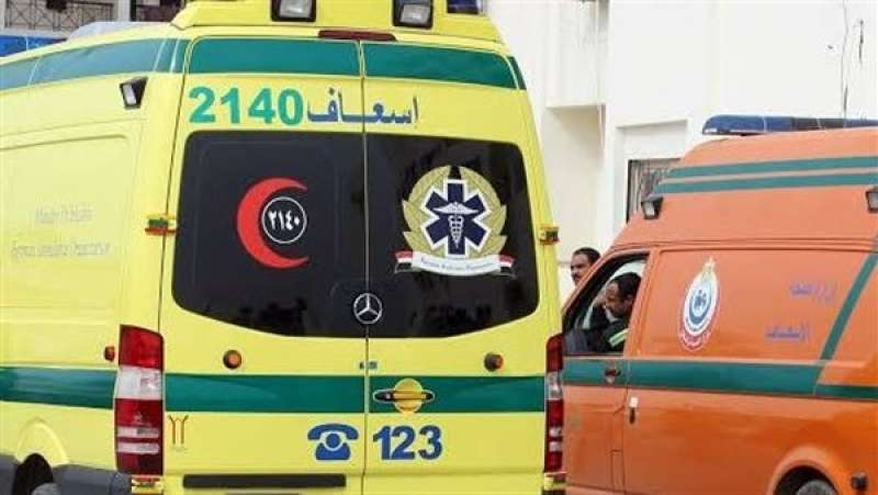 مصرع ربة منزل تحت عجلات قطار ركاب بمدينة كفر الدوار