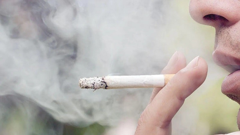 الزبيب سلاح طبيعي ضد آثار التدخين