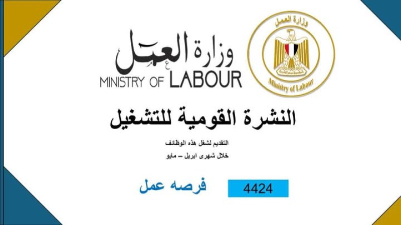 وزارة العمل: 4424 فُرصة عمل جديدة في 72  شركة خاصة تنتظر شباب 12 محافظة