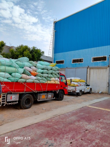 البحيرة تواصل استقبال القمح المحلي: 26220 طنًا تم توريدها حتى الآن