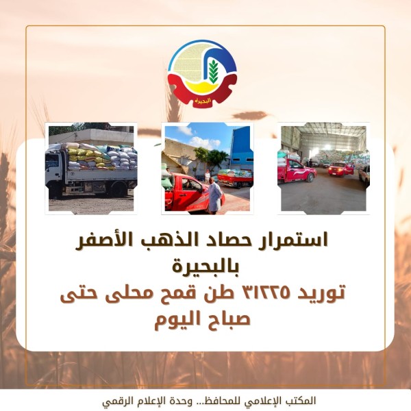 توريد 31 ألف طن قمح للشون والصوامع بالبحيرة