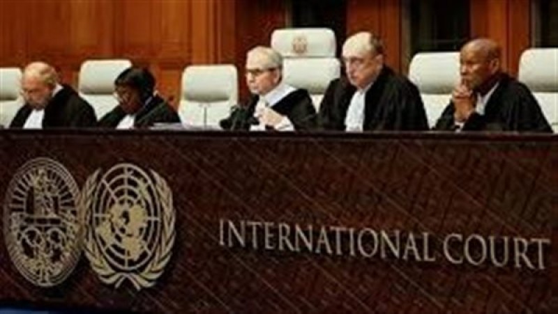 عاشور: المرافعة المصرية تُثبت جرائم الحرب الإسرائيلية وتؤكد الحقوق الفلسطينية