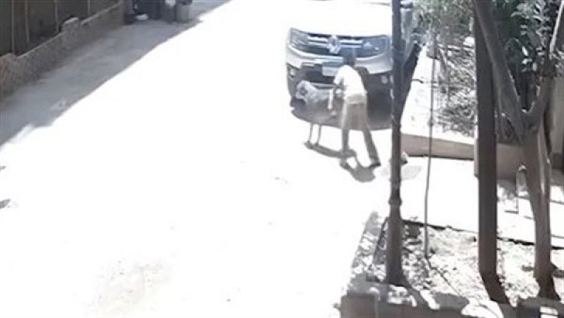 الجيزة: القبض على مراهق تحرش بكلب