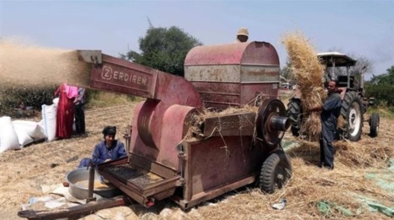 وفاة مزارع أثناء عمله بماكينة دراس في السنطة بالغربية