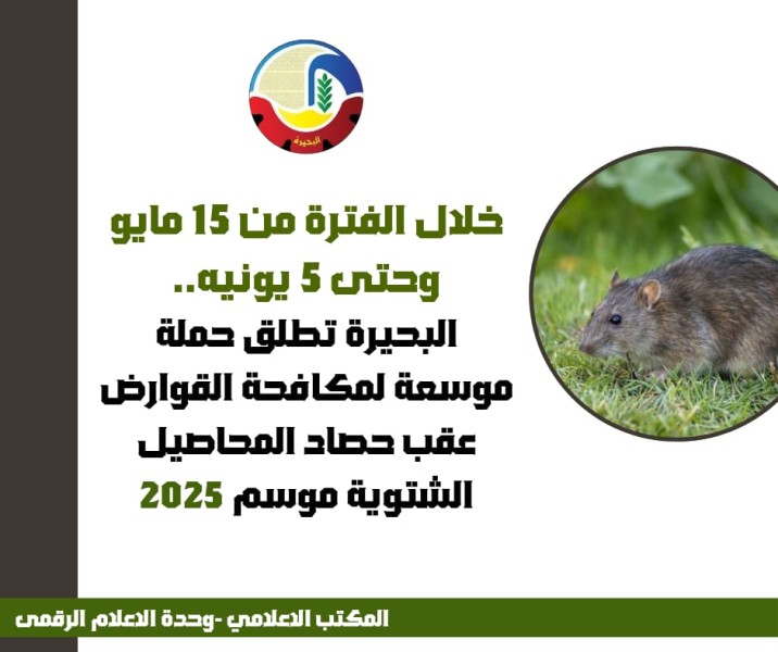 البحيرة تُطلق حملة لمكافحة القوارض بعد الحصاد