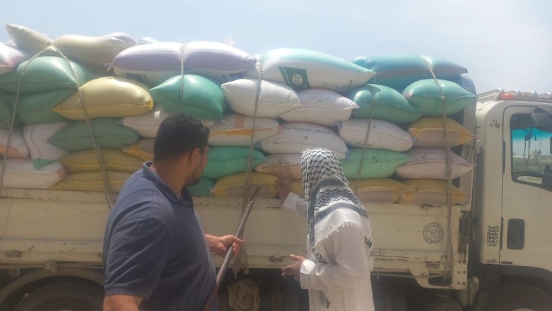 محافظ البحيرة: جهود مستمرة لزيادة توريد القمح المحلي
