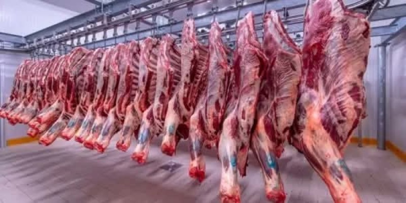 آخر مستجدات ما يحدث في أسواق عالم اللحوم بالساحة المصرية