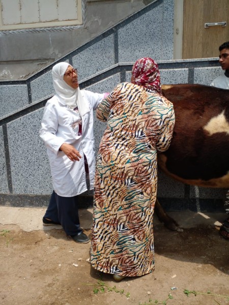 بالأرقام.. مديرية الطب البيطري بالبحيرة تحقق إنجازات في مجال حماية الثروة الحيوانية